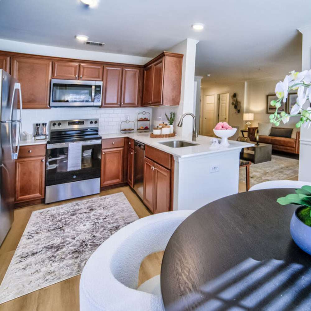 Well-equipped kitchen with granite countertops at Avonlea Towne Lake in Woodstock, Georgia