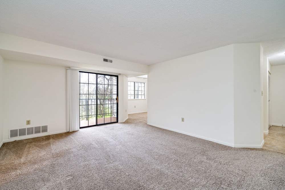Spacious living area with plush carpeting at Carriage Court in Cincinnati, Ohio