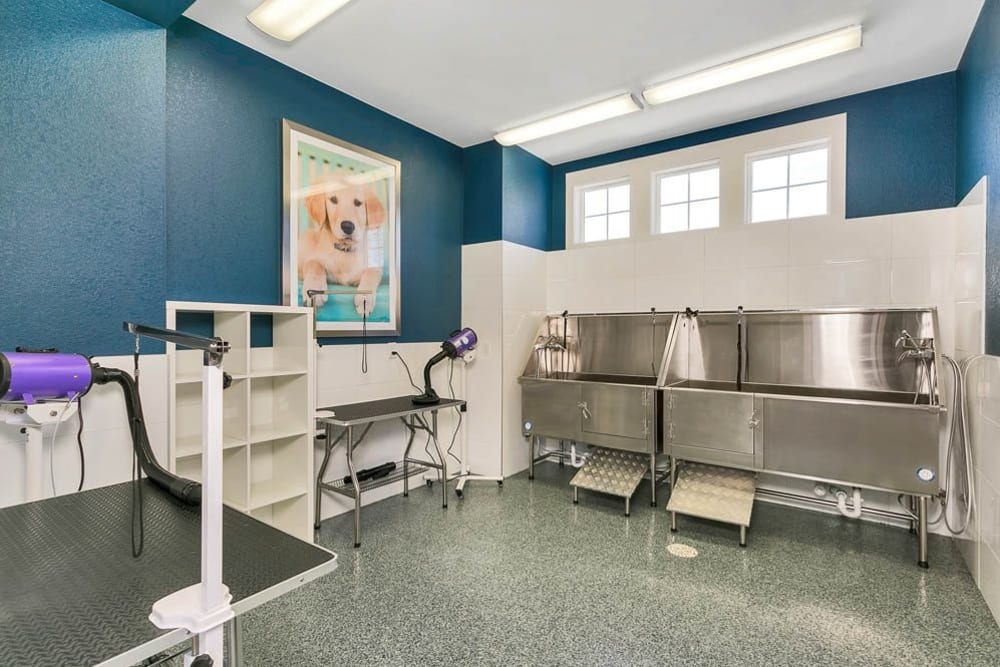 Clean your furry friend in the dog wash at Crestone Apartments in Aurora, Colorado