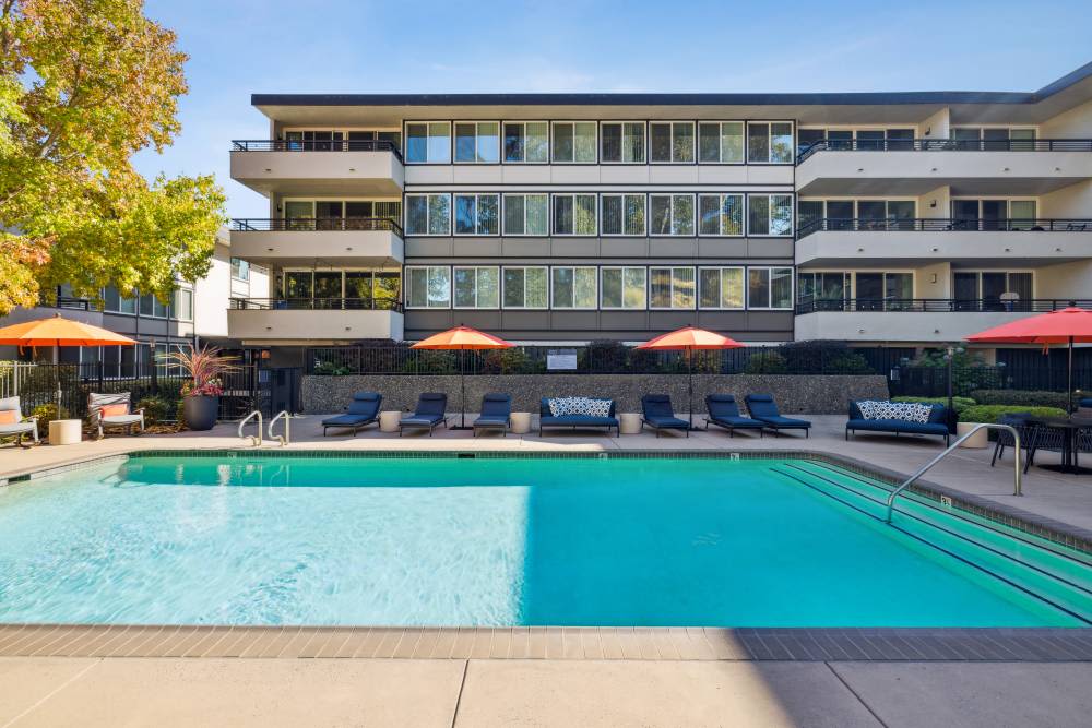 Swimming pool with sun desk at Belmont Glen Residences in Belmont, California