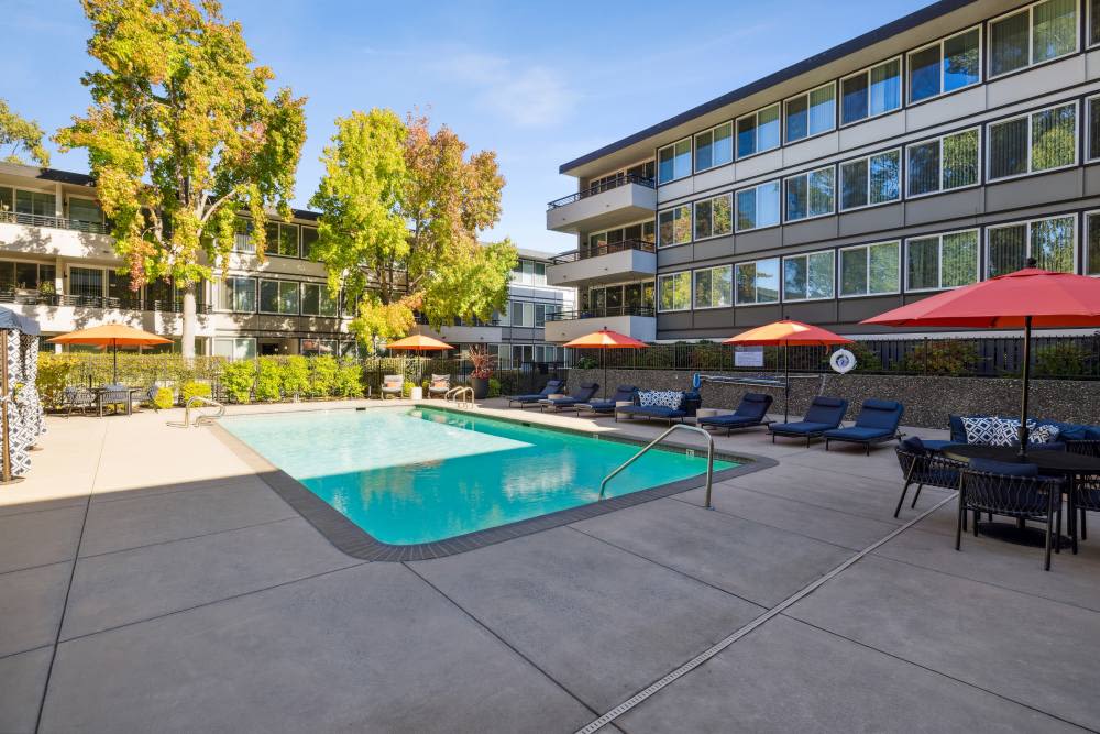 Swimming pool with canopy and lounge seating at Belmont Glen Residences in Belmont, California