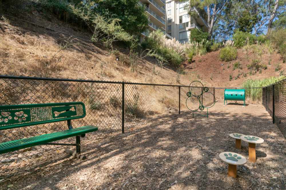 Dog park at Belmont Glen Residences in Belmont, California