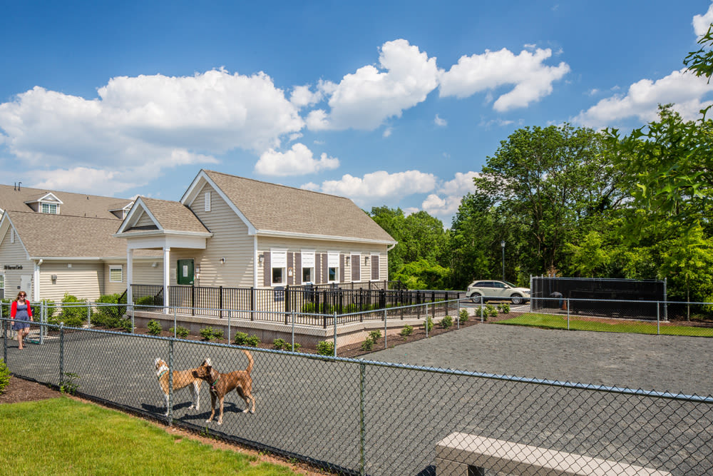 Community dog park at Grove at Somerset in Somerset, New Jersey