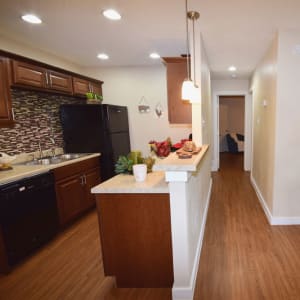 Model kitchen with tiled backsplash and pendant lighting at Buffalo Ridge in Princeton, Texas