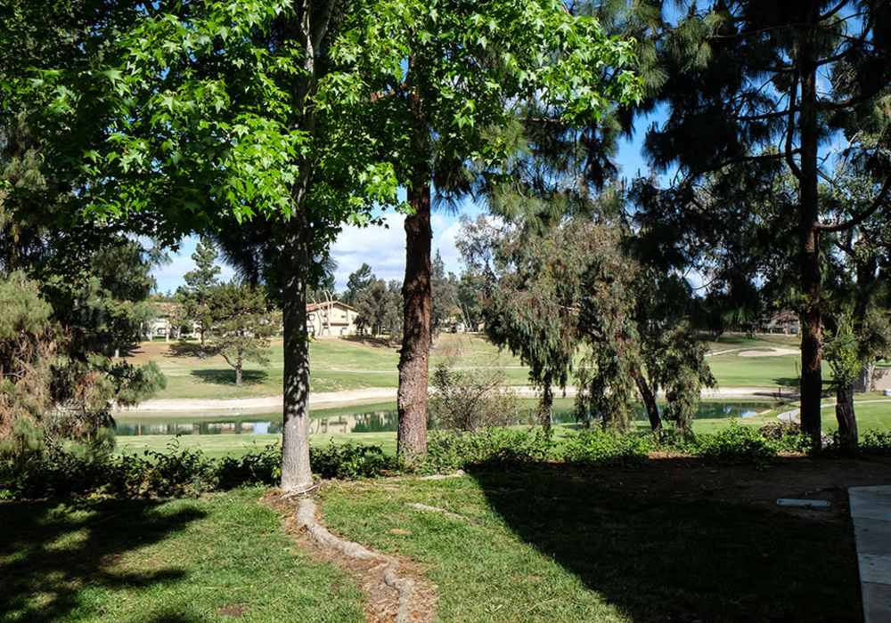 Lake view at Shadowridge Summerwind in Vista. CA