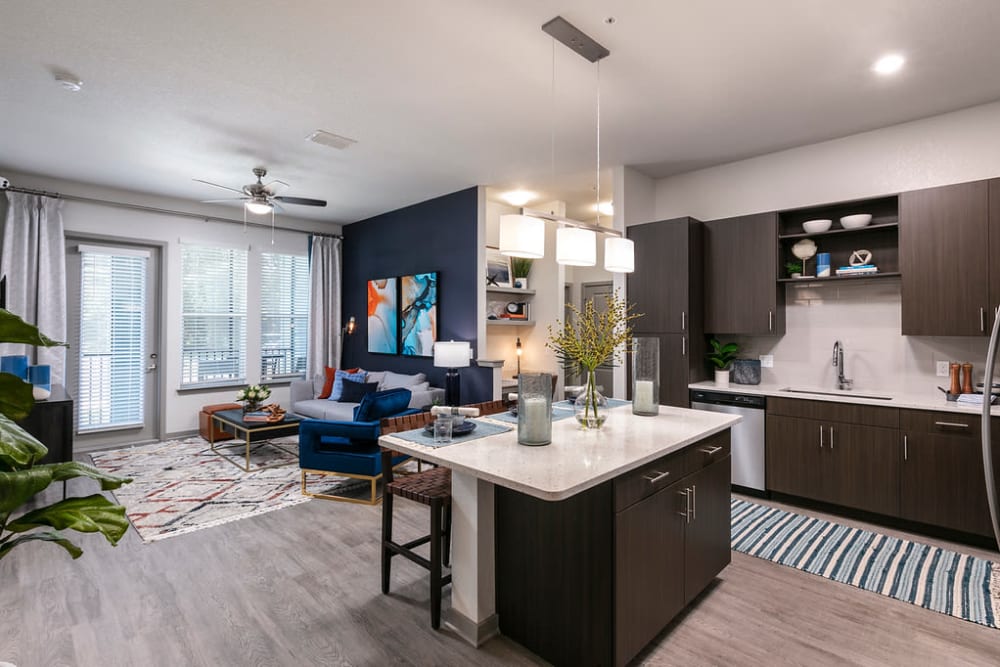 Kitchen countertop at Integra Crossings in Sanford, Florida