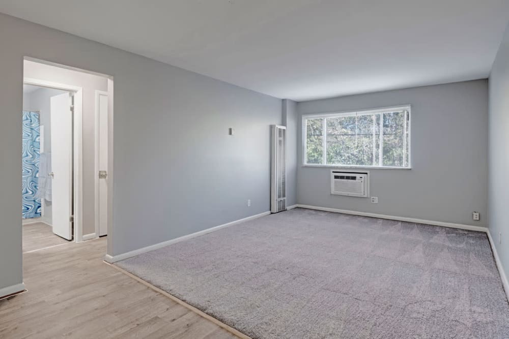 Expansive carpeted living room with a linen closet and ceiling fan at Montgomery Plaza in Cincinnati, Ohio