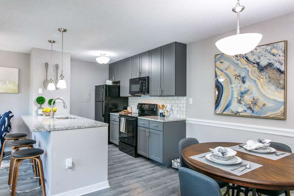 Modern kitchen at Trellis at the Lakes in St. Petersburg, Florida