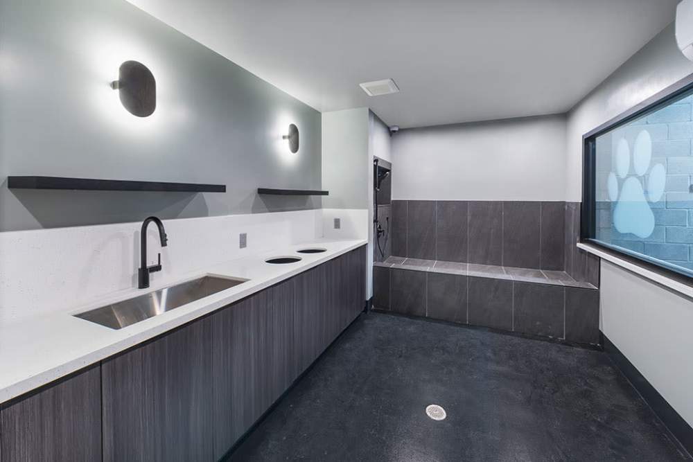 Pet spa at The Ellison in Las Vegas, Nevada