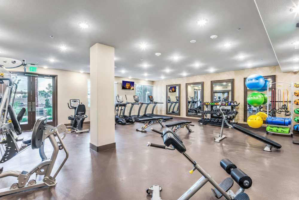 Walking treadmill at Harmony in Las Vegas, Nevada 