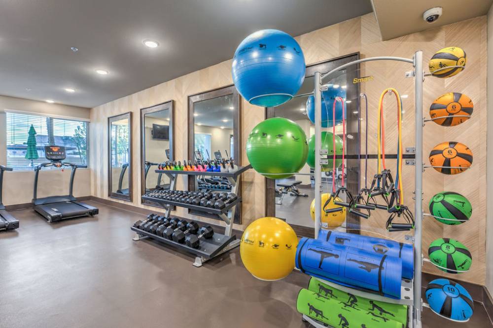 Balls in fitness center at Harmony in Las Vegas, Nevada 