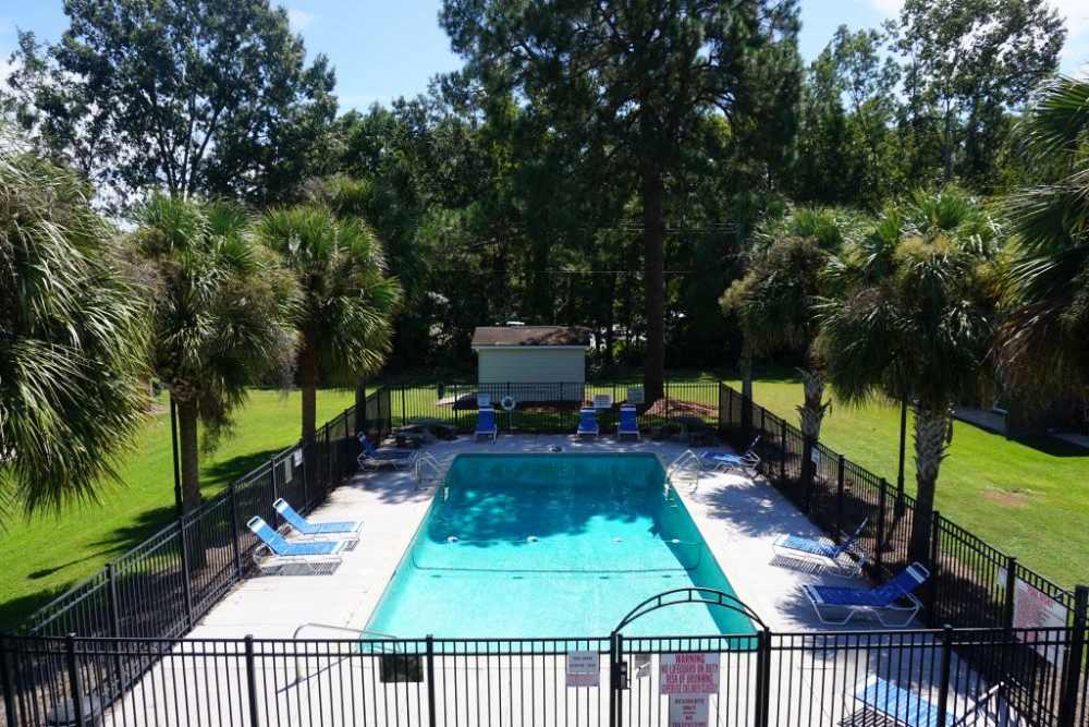 Swimming pool with greenery around at Crown Villa Apartments in Savannah, Georgia
