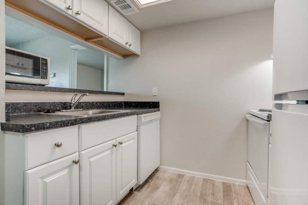 Kitchen with stainless steel sink and dishwasher at Woodland Apartments San Antonio in San Antonio, Texas
