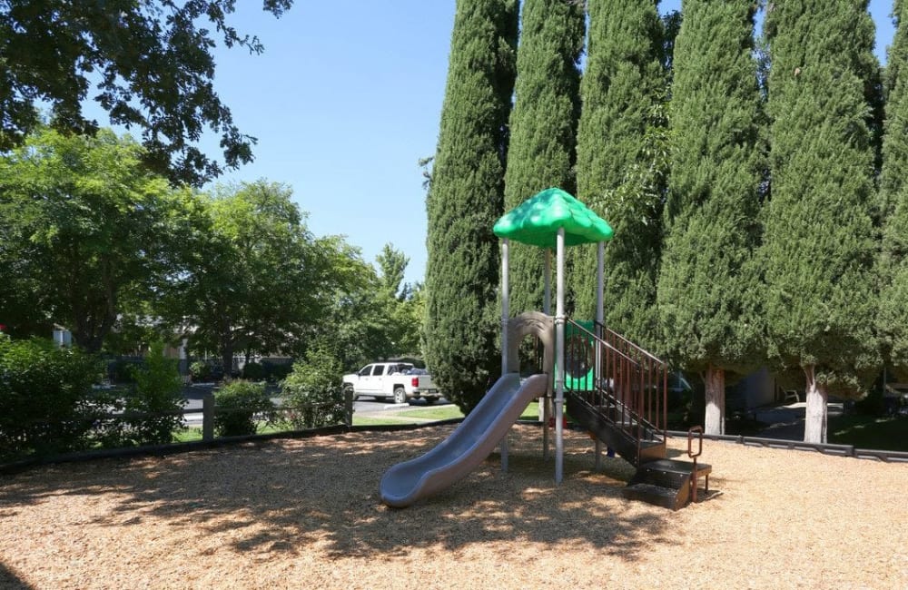 Playground at  Forest Park in Chico, California