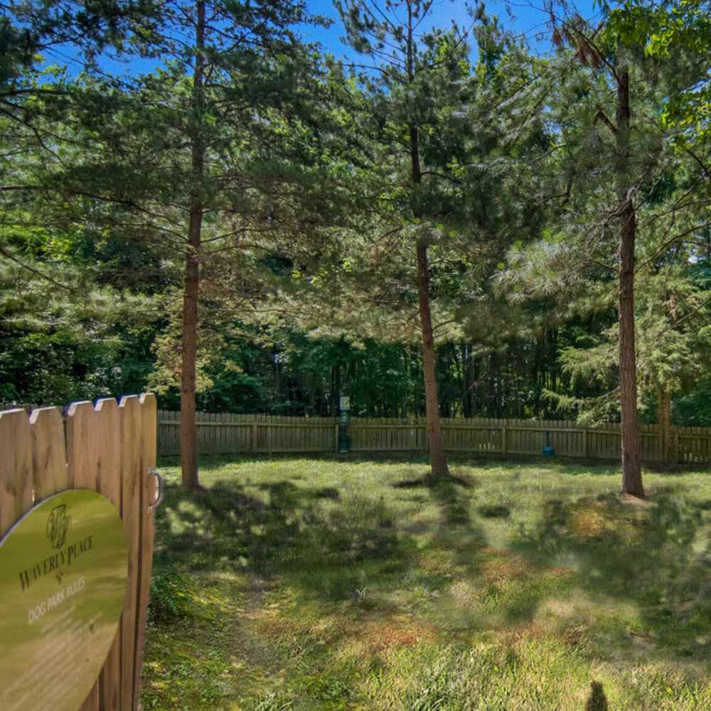 Dog park with trees and fenced area at Waverly Place in Louisa, Virginia