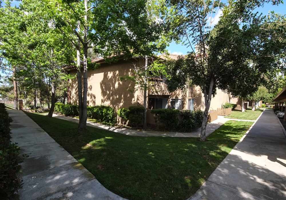 Backyard at Shadowridge Summerwind in Vista. CA