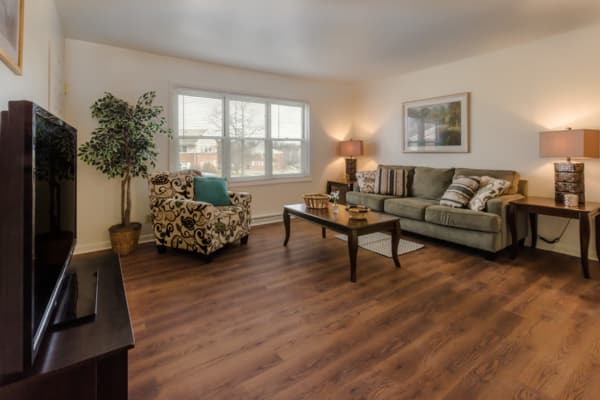 Cozy living room at Rochester Highlands apartments