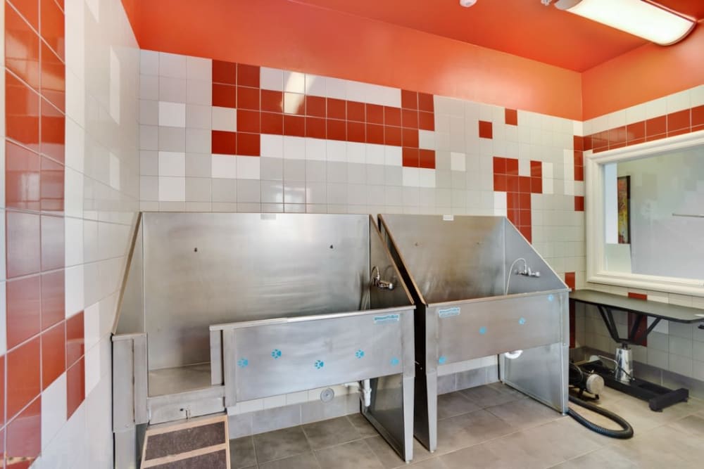 Pet wash area at The Parc at Greenwood Village in Greenwood Village, Colorado