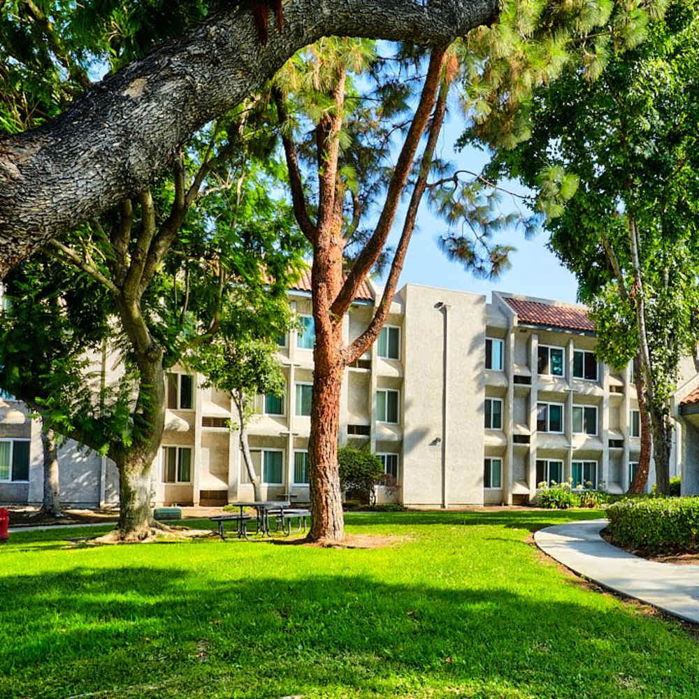 An apartment surround by greenery at Tustin Gardens in Tustin, California