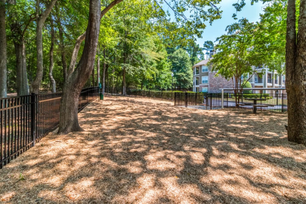 Spacious dog park with picnic bench at Marquis at Carmel Commons in Charlotte, North Carolina