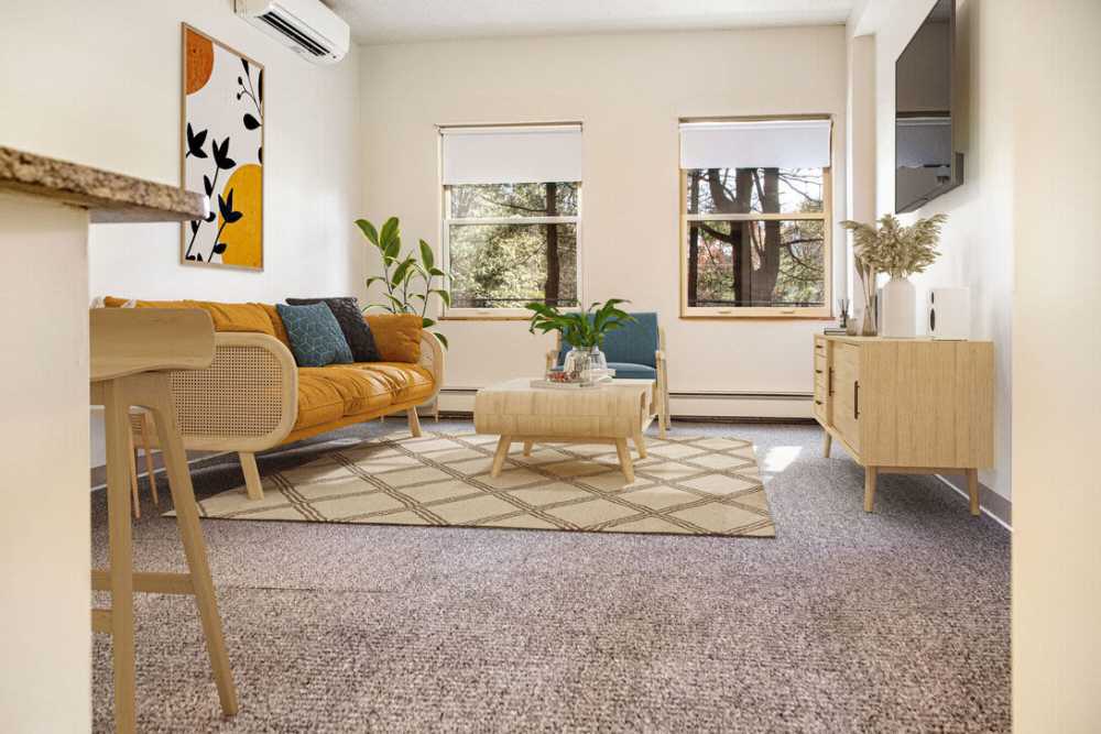 Living room with carpet flooring at Peter Sanborn Reading in Reading,Massachusetts