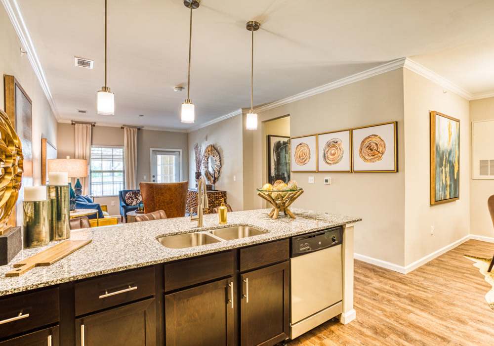 Island kitchen with granite countertops at Hollybrook Ranch in Round Rock, Texas