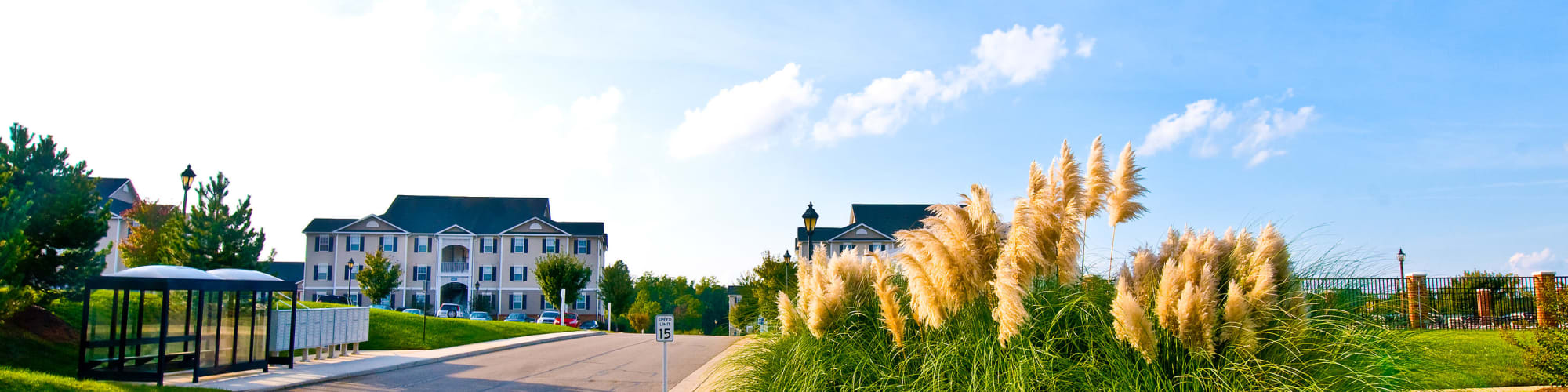 Amenities at Belmont Landing in Farmville, Virginia