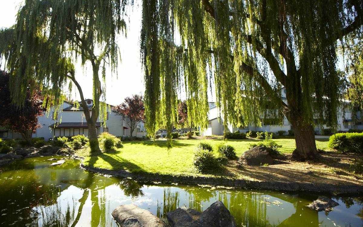 Exterior view of community at Country Brook Rental Condominiums in San Ramon, California