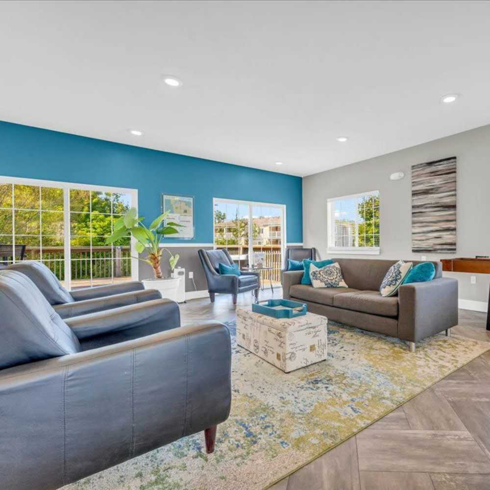 Cozy living room with natural lighting at Timber View Apartments in Grand Haven, Michigan