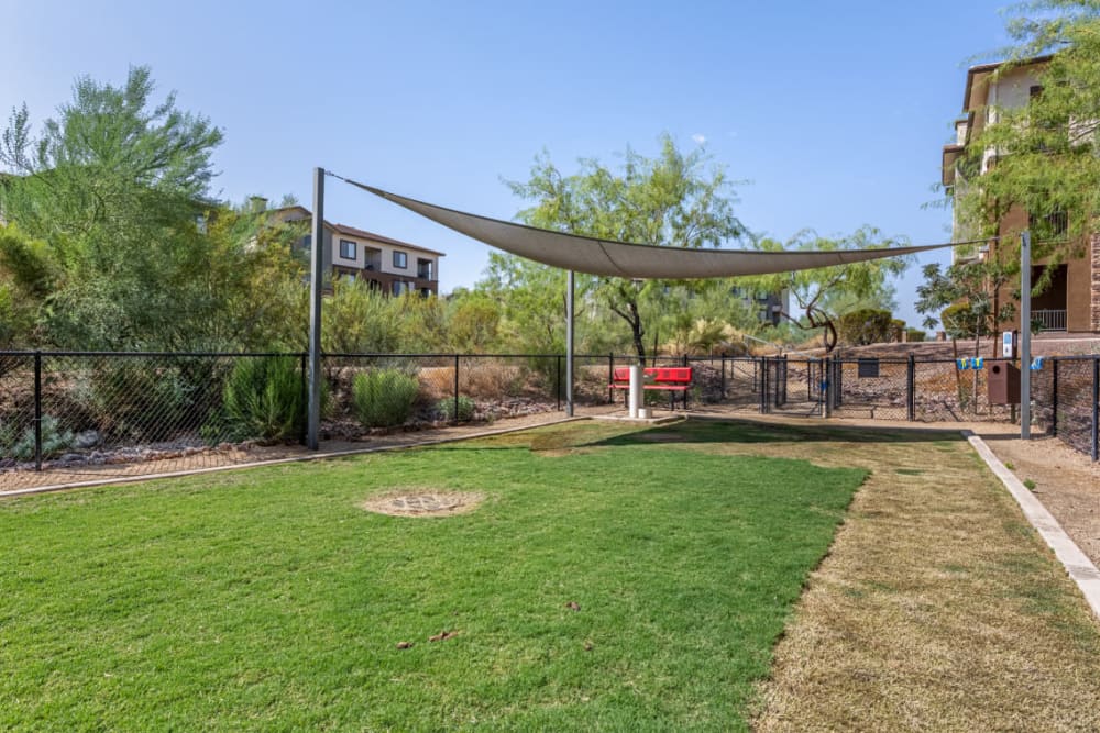 Enclosed dog park with partial shade and water fountain at Marquis at Sonoran Preserve in Phoenix, Arizona