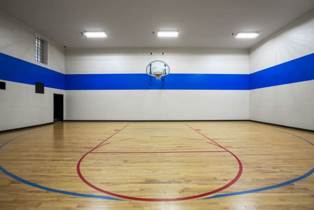Indoor basketball court at Sofi Parc Grove in Stamford, Connecticut