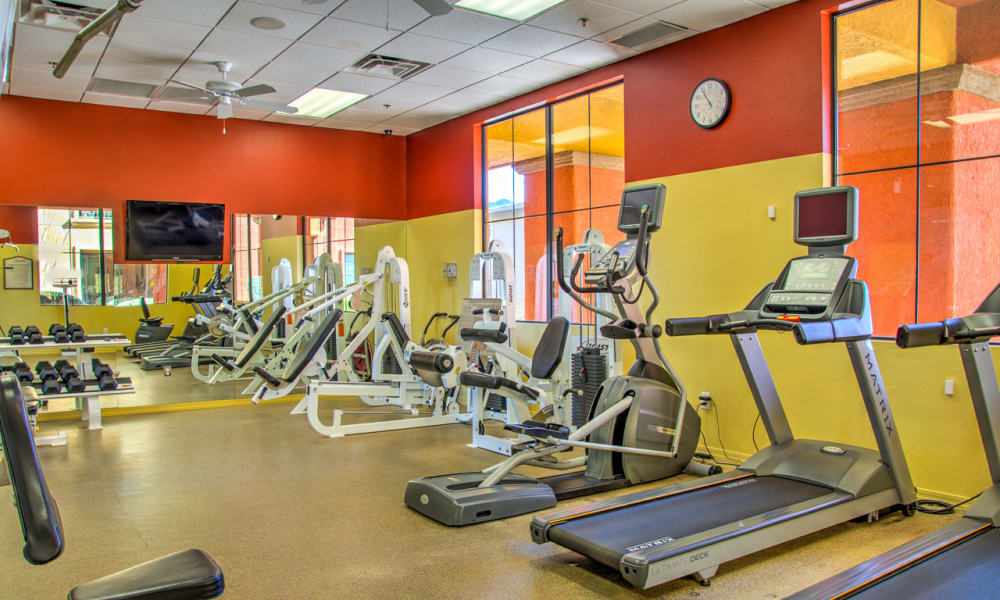 Stay healthy in the Oro Vista Apartments fitness center in Oro Valley, Arizona