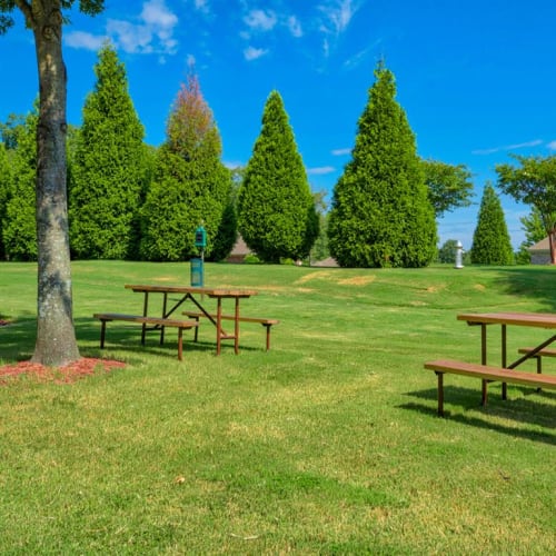 Dog park at Capitol Hill, Little Rock, Arkansas