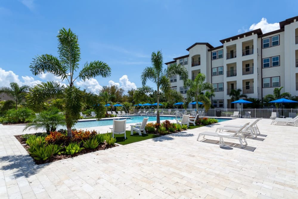 Poolside palm trees at a property managed by at WRH Realty Services, Inc 