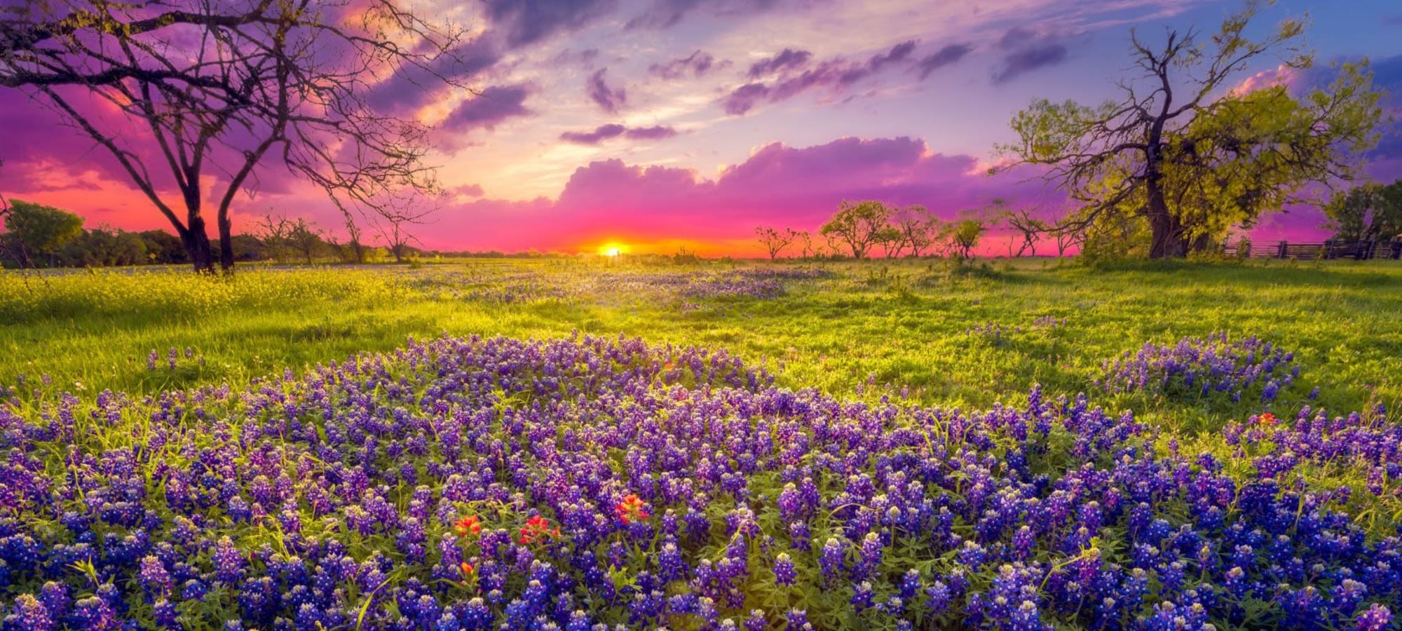 Neighborhood near Brooks on Preston in Plano, Texas