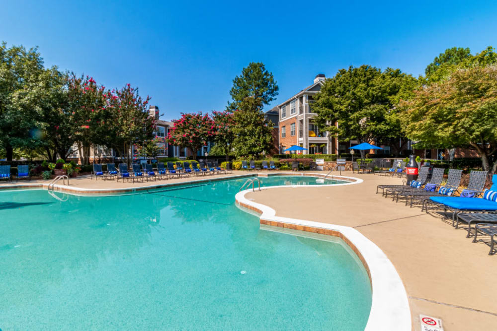 Sparkling pool surrounded by lounge chairs at Marquis of Carmel Valley in Charlotte, North Carolina