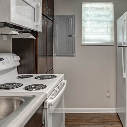 Dog sitting on it's bed at Bell Diamond Manor in Norfolk, Virginia