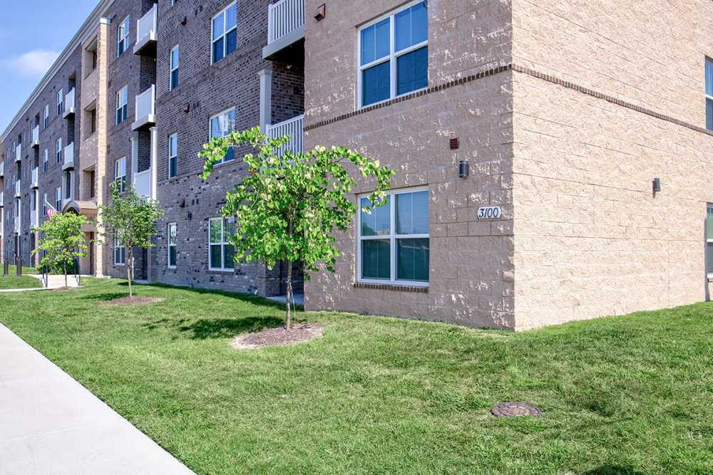 Greenery all around at Brennan Pointe I in Newport News, Virginia