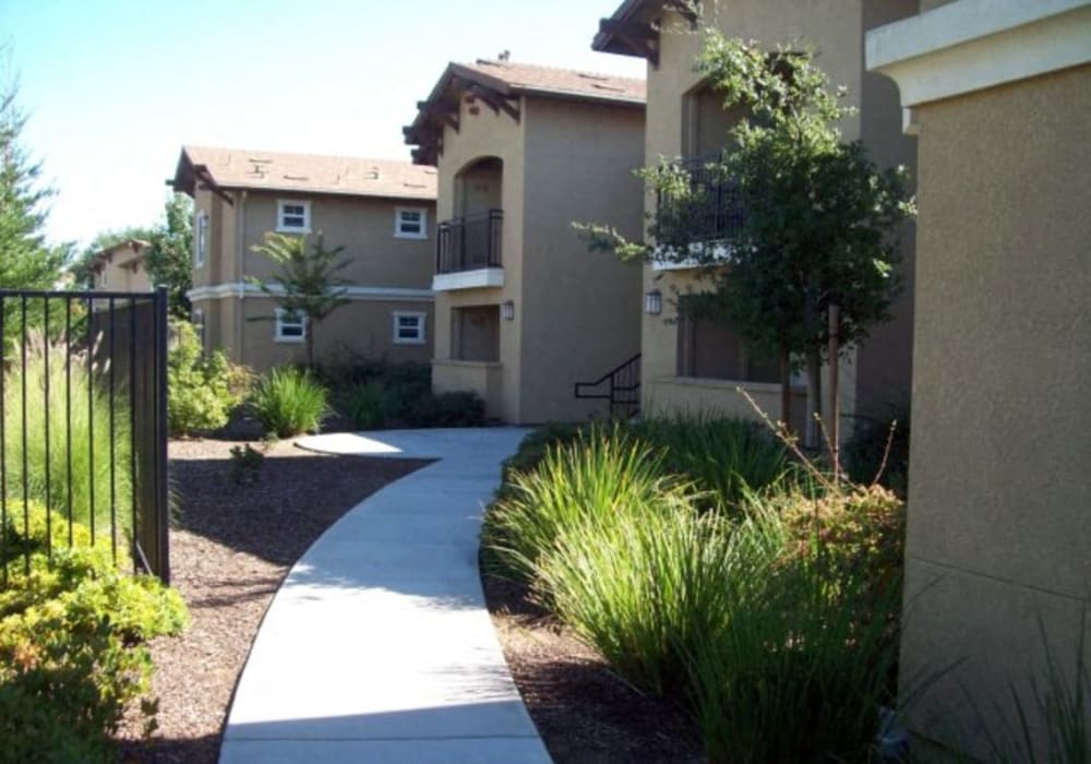 Walkway and landscaped grounds at Sommerset Place in Sacramento, California