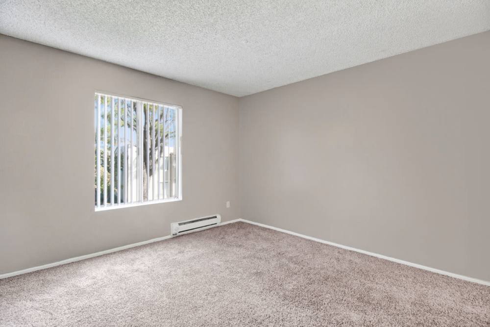 Well-lit room at Olive Ridge in Pomona, California