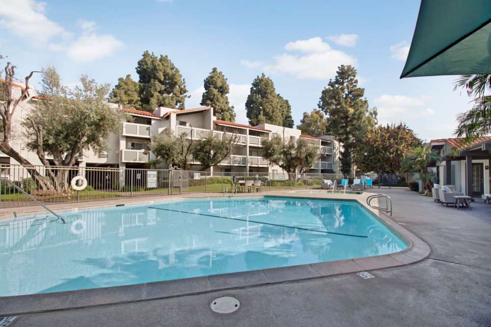 Swimming amenity at Olive Ridge in Pomona, California