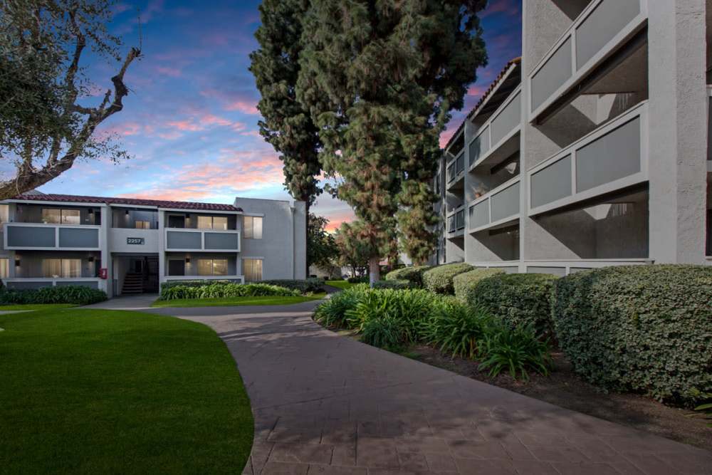 Apartments at Olive Ridge in Pomona, California