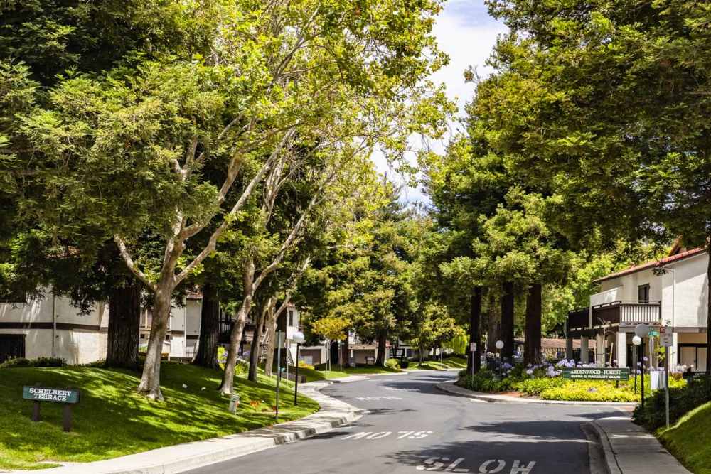 Tree lined road at Ardenwood Forest Rental Condominiums in Fremont, California