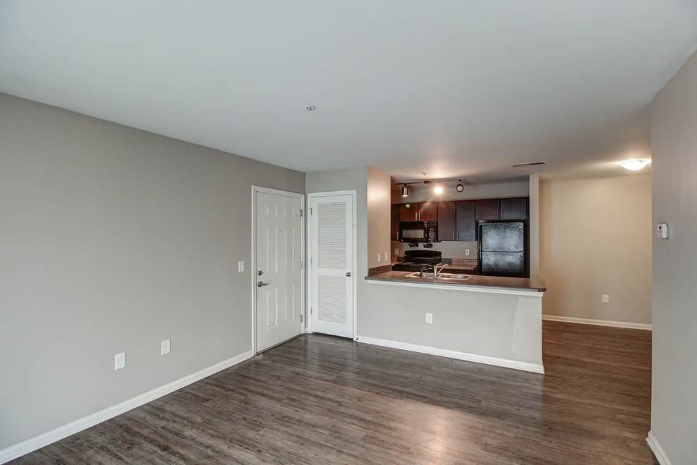 Open layout with wood-style flooring, kitchen featuring dark cabinets and stainless steel appliances at Northside Drive Apartments in Crossville, Tennessee