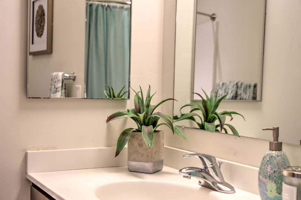Bright bathroom with vanity light, mirror and sink at Gateway North in Lynn, Massachusetts