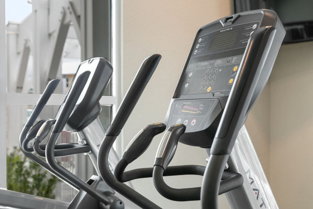 Fitness center at The Bergamot Apartments On 780 in Sarasota, Florida