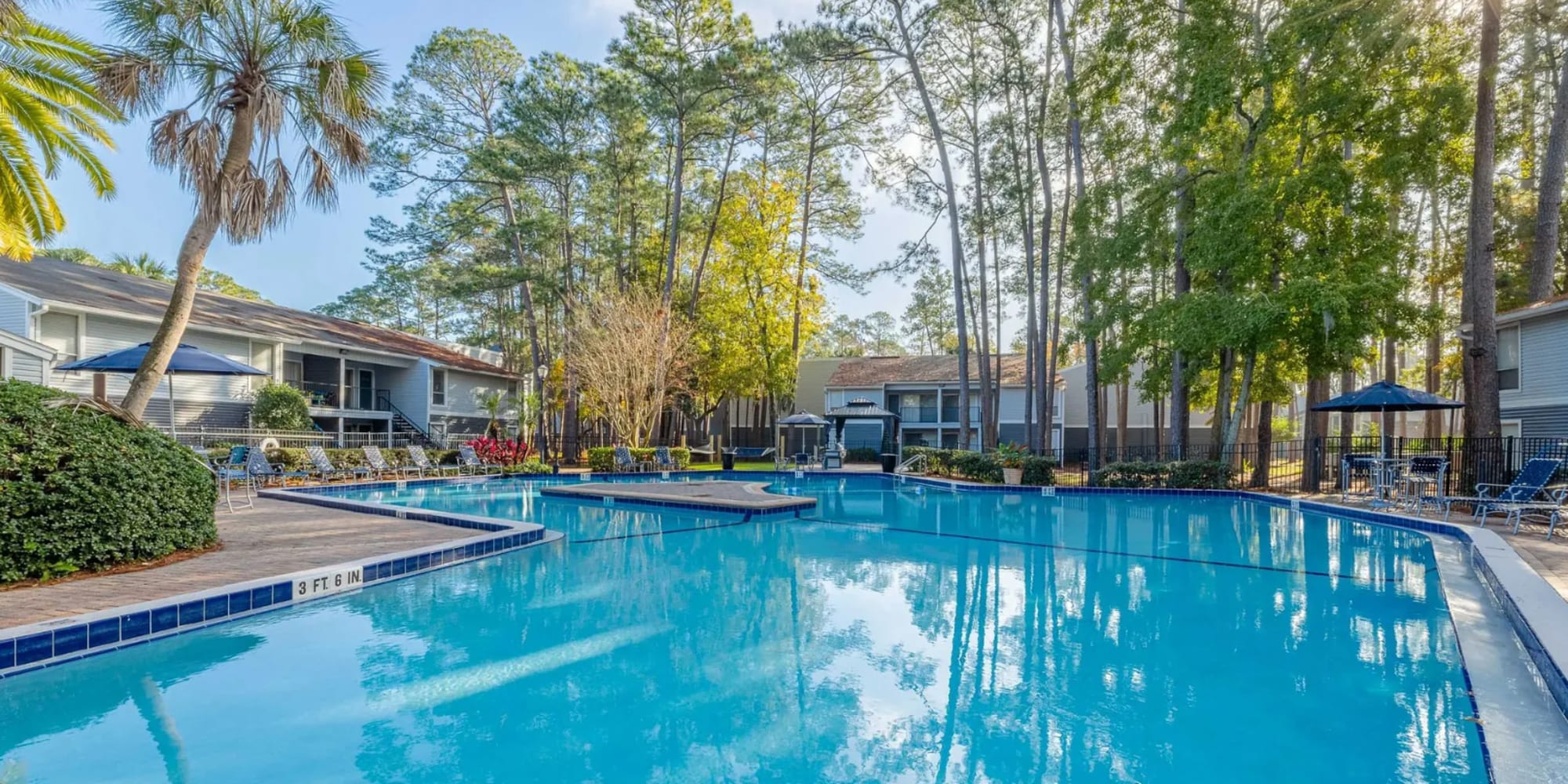 Apartments at The Park at Avellino in Jacksonville, Florida
