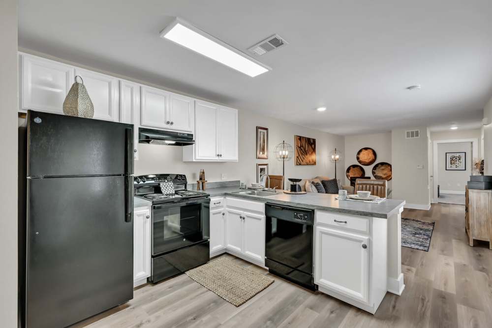 Energy-efficient appliances in the modern apartment kitchen at Woodforest Chase in Houston, Texas