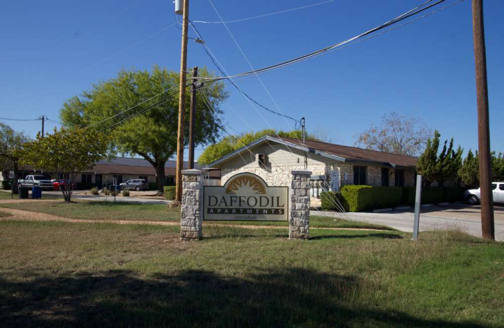 Daffodil Apartments entrance with lush greenery and clear blue sky at Daffodil in Austin, Texas