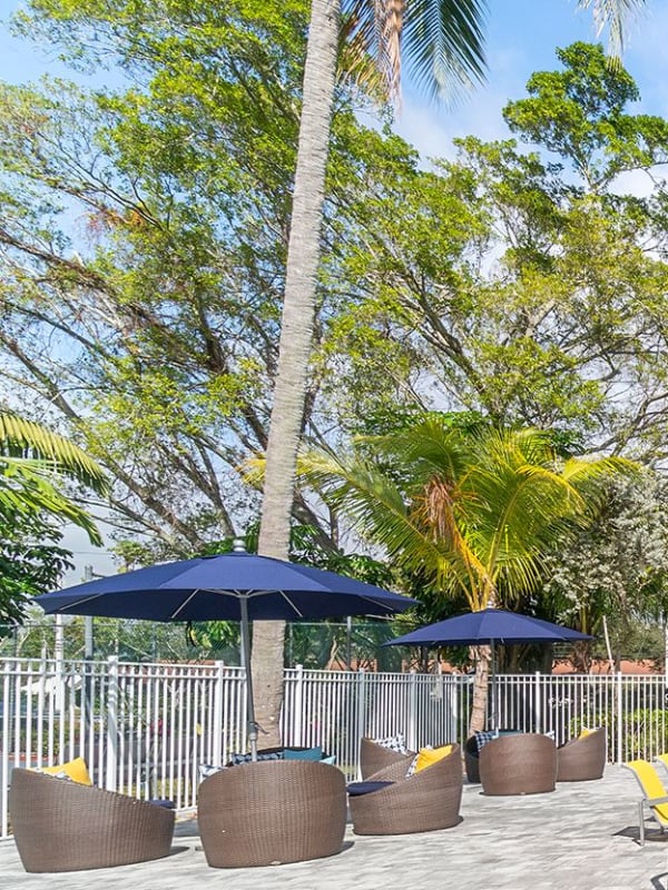 Lush Community Landscaping at Boynton Place Apartments in Boynton Beach, Florida